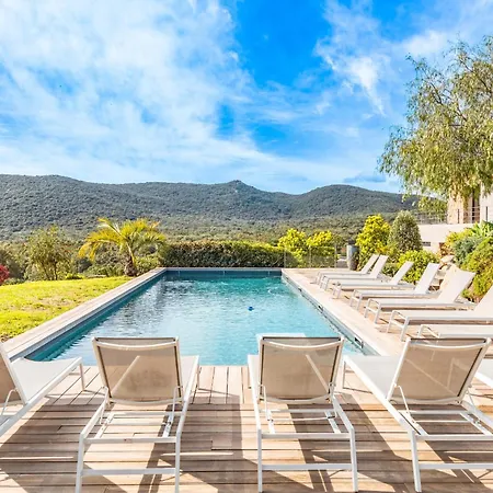 فيلة Barbacciolo *