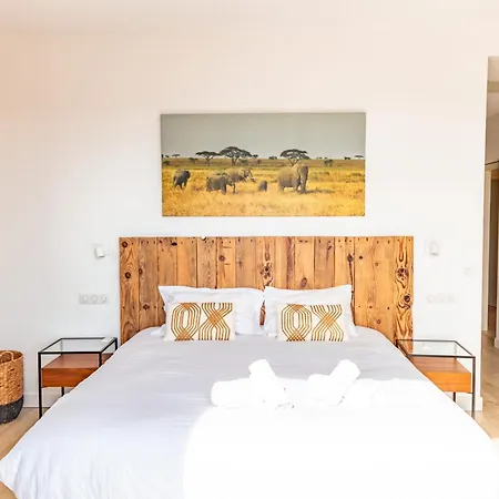 Barbacciolo فيلة *