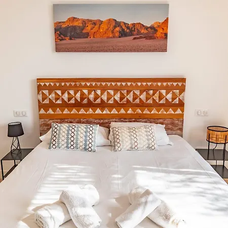 فيلة Barbacciolo *