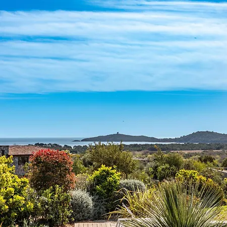 فيلة Barbacciolo *