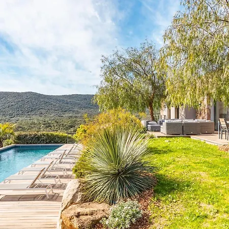 Barbacciolo فيلة *