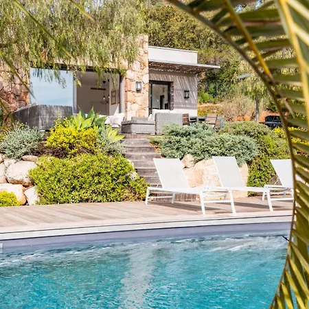 Barbacciolo فيلة *